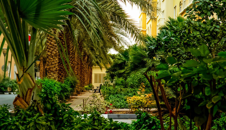 Arabian Orchard garden landscape design dubai